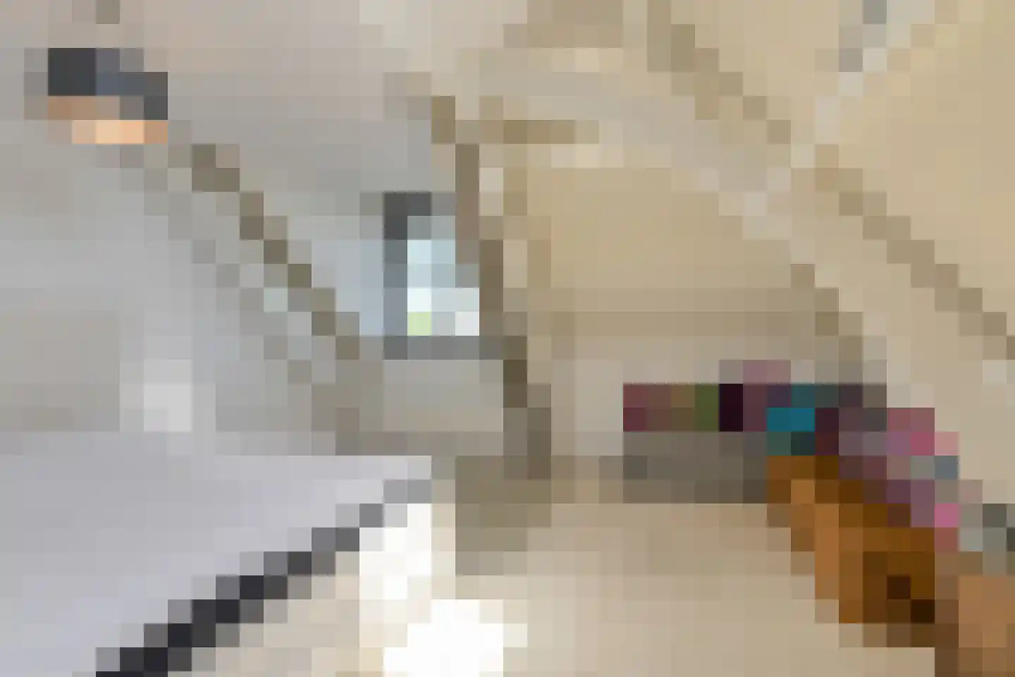 Hoolstraat 86 Teteringen thumbnail 23
