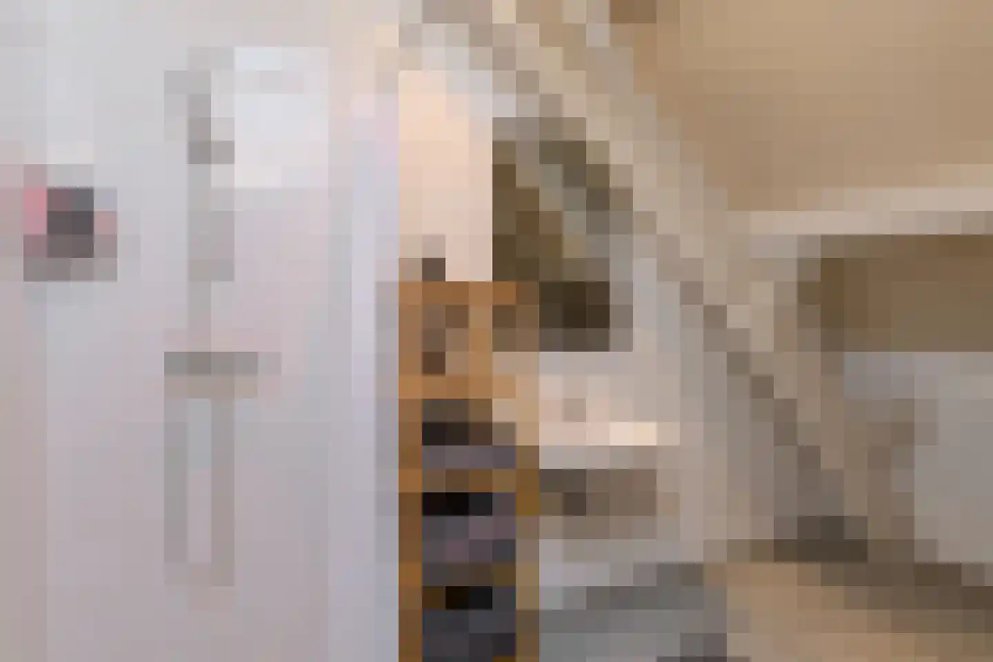 Hoolstraat 86 Teteringen thumbnail 31