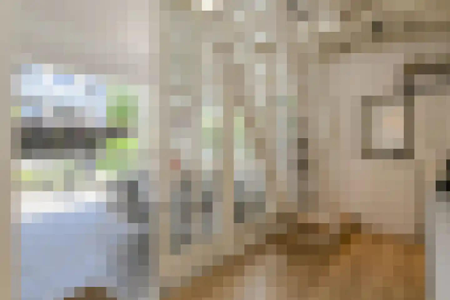 Hoolstraat 86 Teteringen thumbnail 37