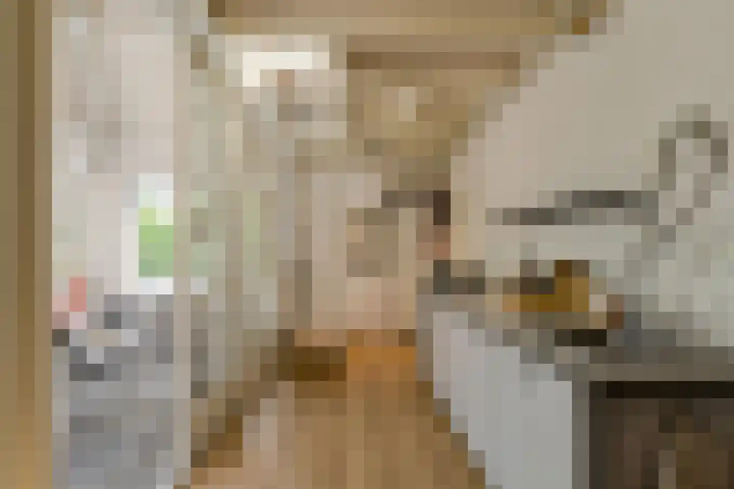 Hoolstraat 86 Teteringen thumbnail 38