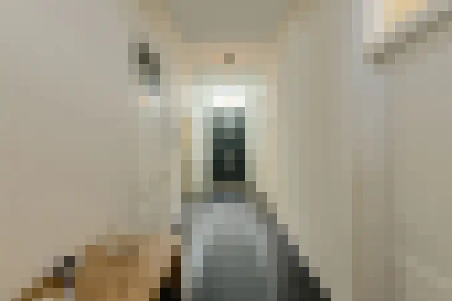 Hoolstraat 86 Teteringen thumbnail 44