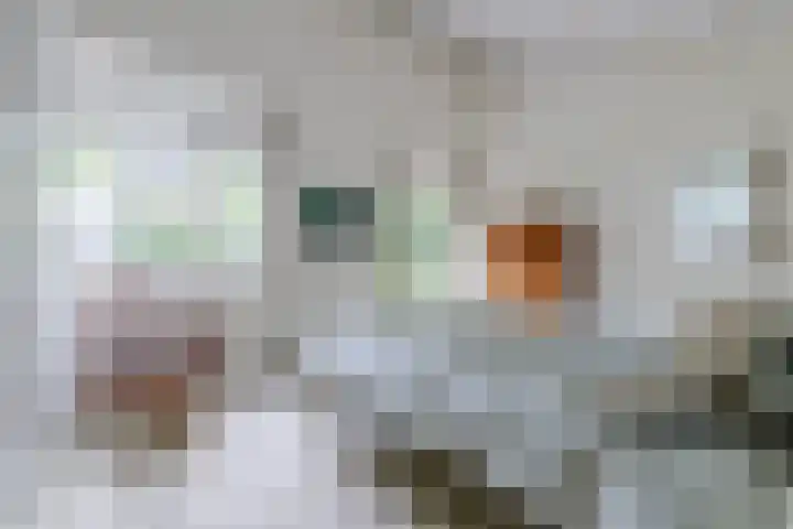 Hoolweg 20 Leersum thumbnail 17