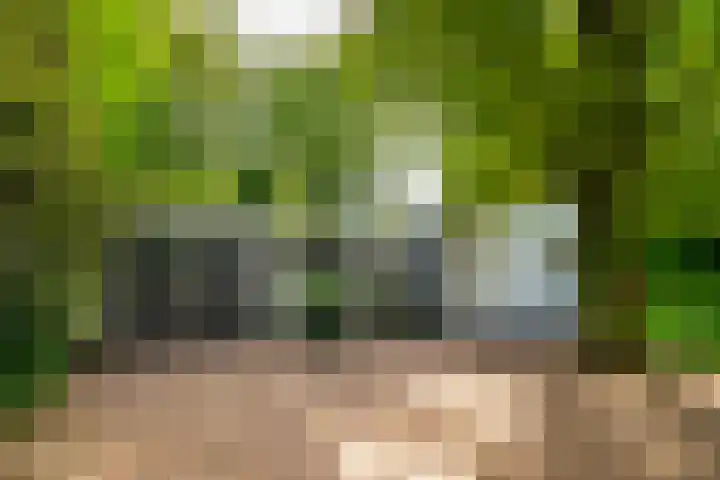 Hoolweg 20 Leersum thumbnail 25