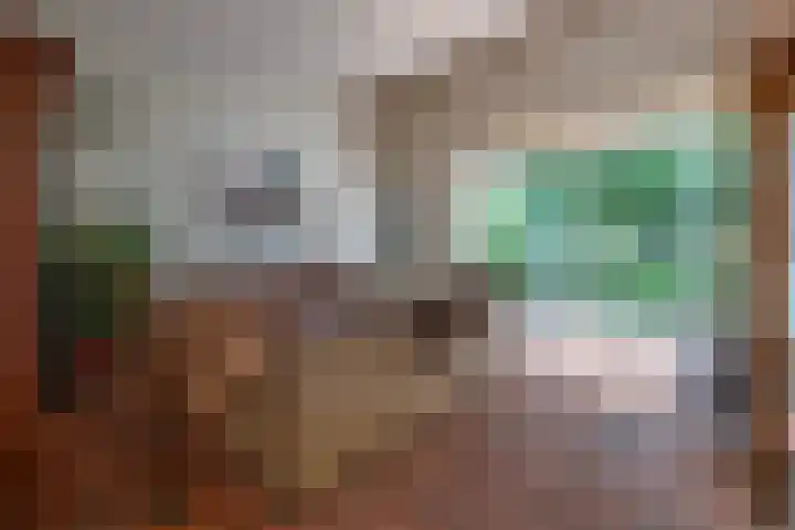 Hoolweg 20 Leersum thumbnail 26