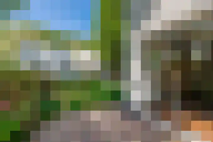 Hoolweg 20 Leersum thumbnail 29