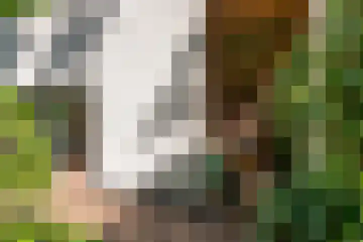 Hoolweg 20 Leersum thumbnail 30
