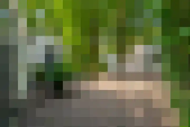 Hoolweg 20 Leersum thumbnail 31