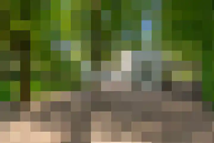 Hoolweg 20 Leersum thumbnail 32
