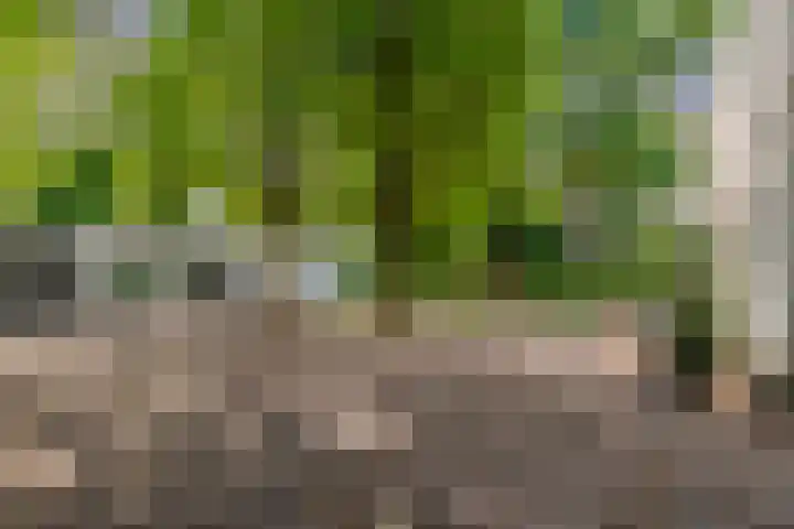 Hoolweg 20 Leersum thumbnail 33