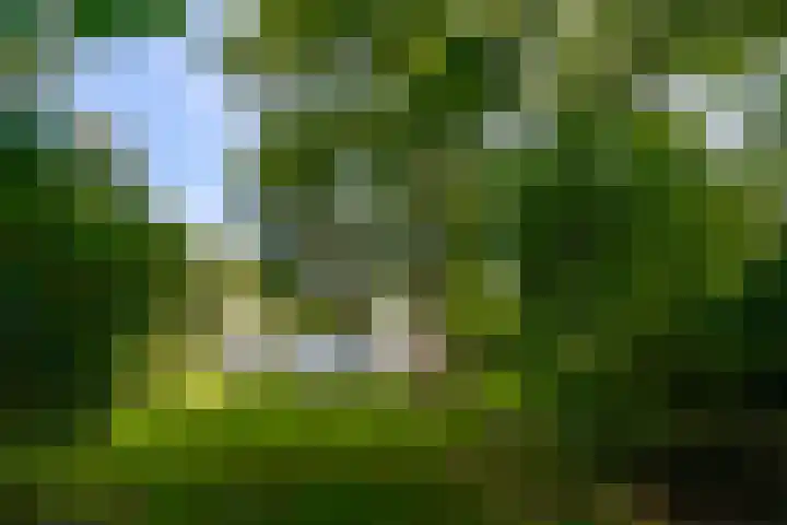 Hoolweg 20 Leersum thumbnail 34