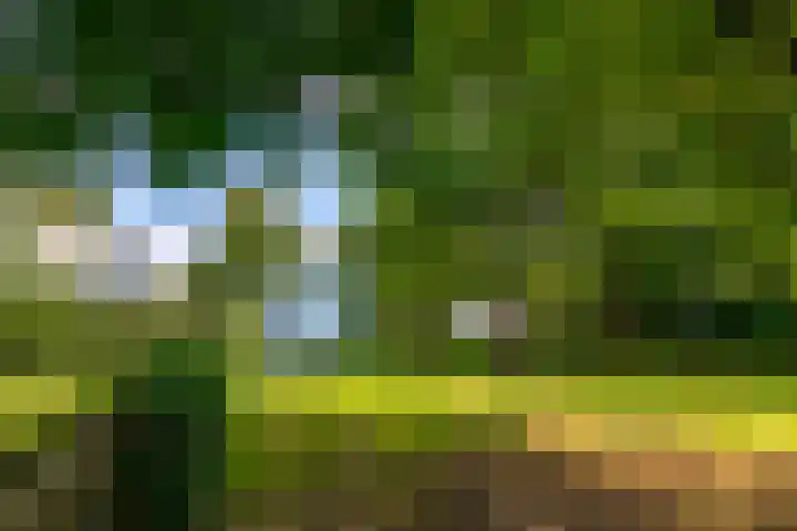Hoolweg 20 Leersum thumbnail 35