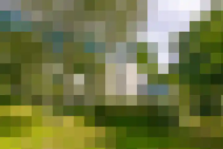 Hoolweg 20 Leersum thumbnail 36