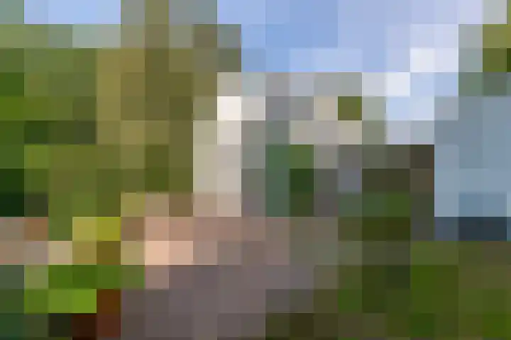 Hoolweg 20 Leersum thumbnail 37