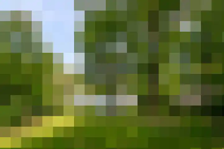 Hoolweg 20 Leersum thumbnail 38
