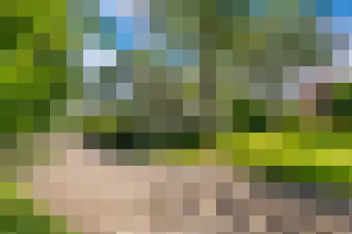 Hoolweg 20 Leersum thumbnail 40