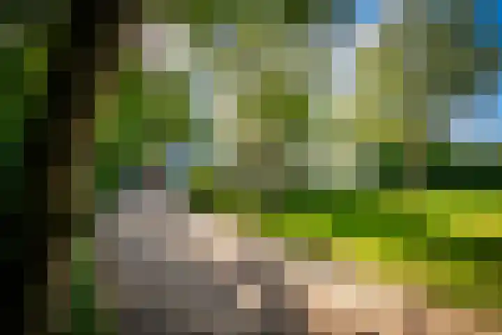 Hoolweg 20 Leersum thumbnail 41