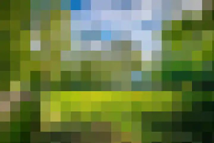 Hoolweg 20 Leersum thumbnail 42
