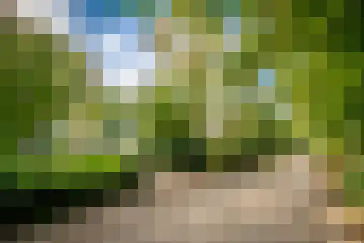 Hoolweg 20 Leersum thumbnail 43
