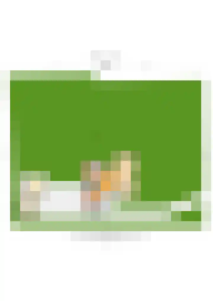 Hoolweg 20 Leersum thumbnail 47