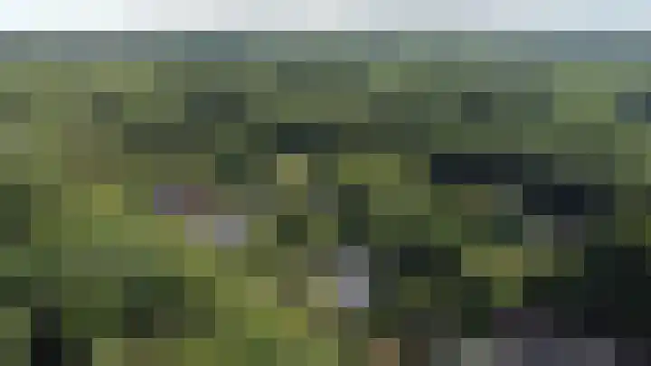 Hoolweg 20 Leersum thumbnail 48