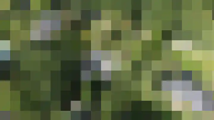Hoolweg 20 Leersum thumbnail 50