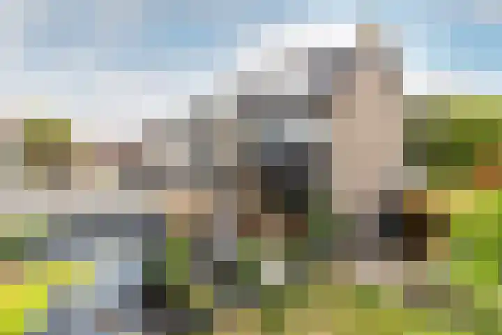 Hoonaartstraat 13 Hellevoetsluis thumbnail 4