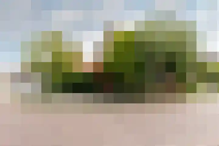 Hoonaartstraat 13 Hellevoetsluis thumbnail 5