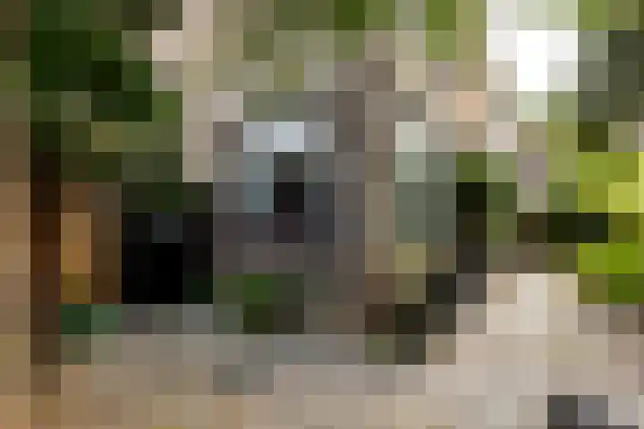 Hoonaartstraat 13 Hellevoetsluis thumbnail 6