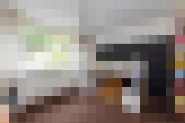 Hoonaartstraat 16 Hellevoetsluis thumbnail 23