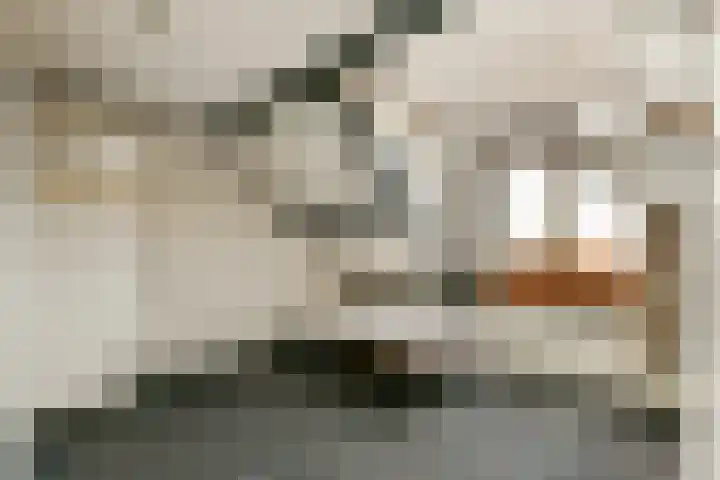 Hoonaartstraat 21 Hellevoetsluis thumbnail 21