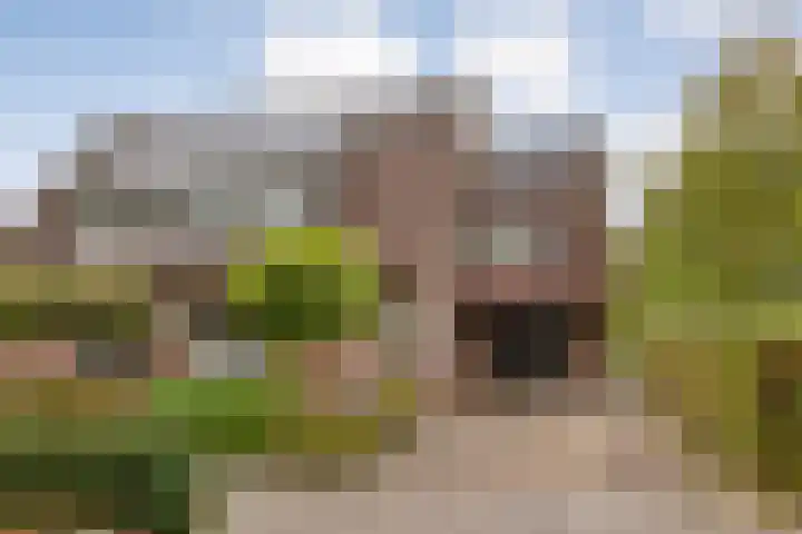 Hoonhorst 29 in Lattrop-Breklenkamp