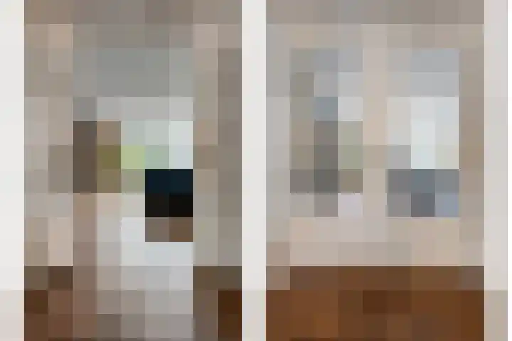 Hoonhorst 29 Lattrop-Breklenkamp thumbnail 10
