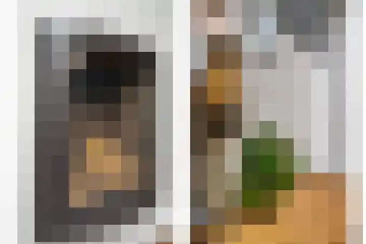 Hoonhorst 29 Lattrop-Breklenkamp thumbnail 13