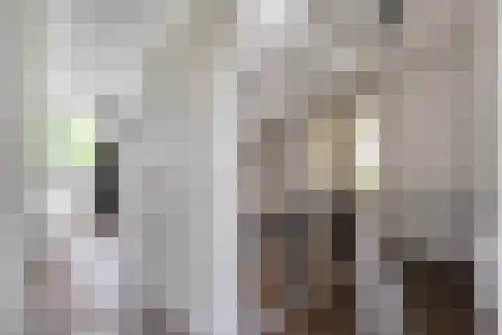 Hoonhorst 29 Lattrop-Breklenkamp thumbnail 14