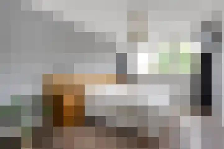 Hoonhorst 29 Lattrop-Breklenkamp thumbnail 15