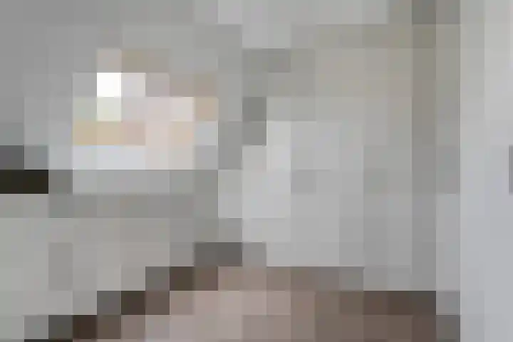 Hoonhorst 29 Lattrop-Breklenkamp thumbnail 16