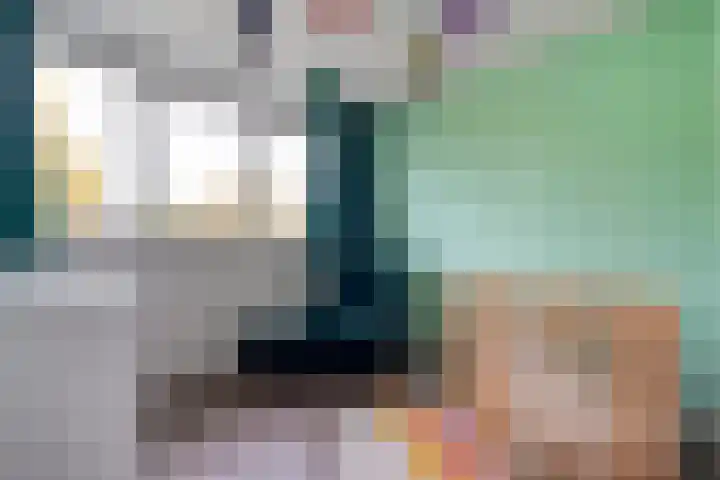 Hoonhorst 29 Lattrop-Breklenkamp thumbnail 17