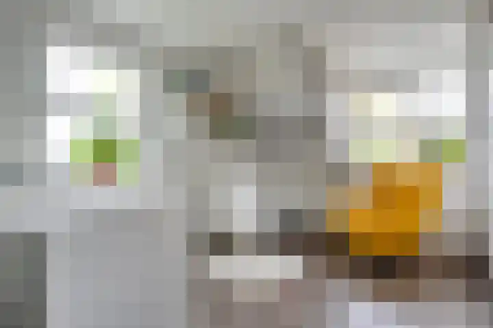 Hoonhorst 29 Lattrop-Breklenkamp thumbnail 18