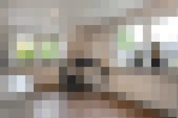 Hoonhorst 29 Lattrop-Breklenkamp thumbnail 19