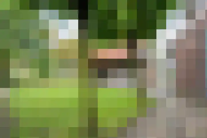 Hoonhorst 29 Lattrop-Breklenkamp thumbnail 22