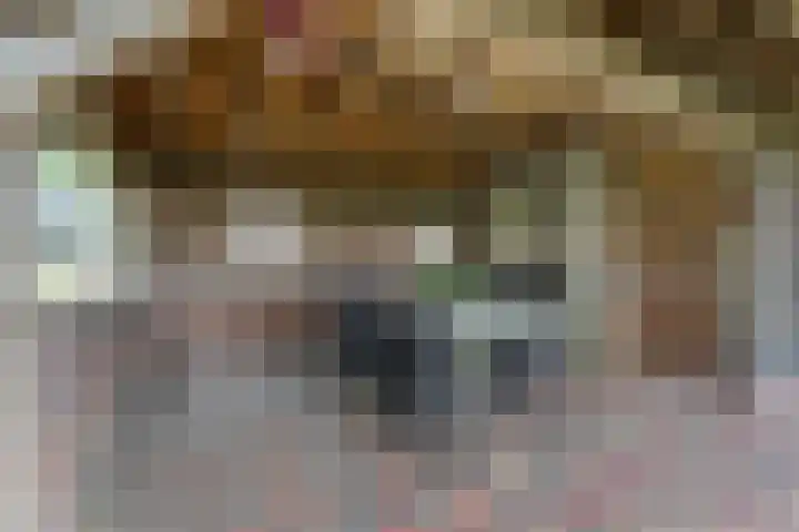 Hoonhorst 29 Lattrop-Breklenkamp thumbnail 23