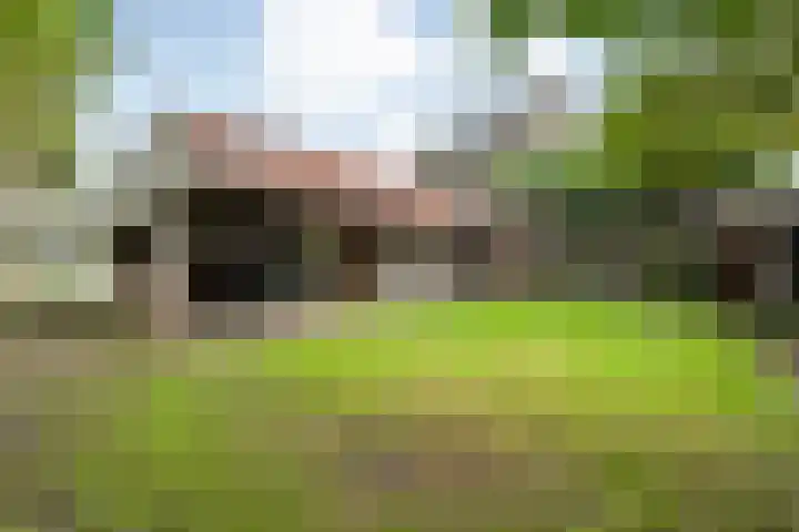 Hoonhorst 29 Lattrop-Breklenkamp thumbnail 24