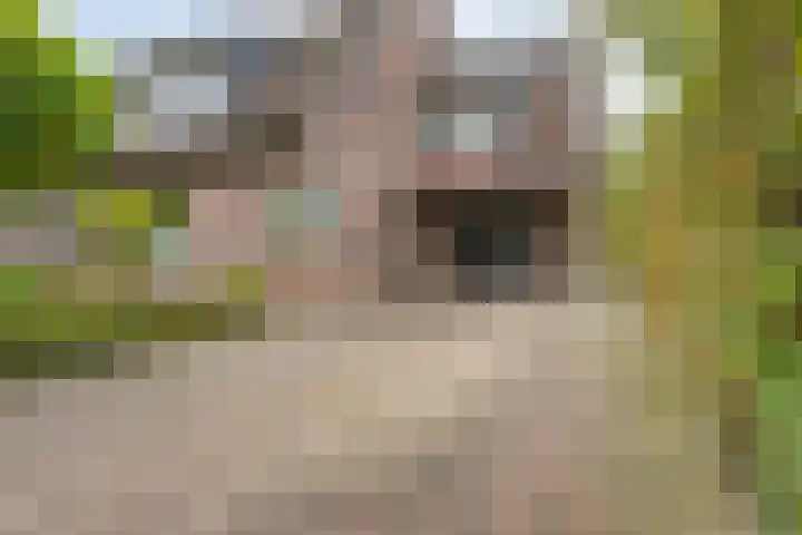 Hoonhorst 29 Lattrop-Breklenkamp thumbnail 25