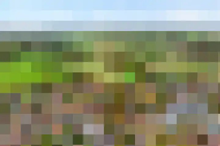 Hoonhorst 29 Lattrop-Breklenkamp thumbnail 26