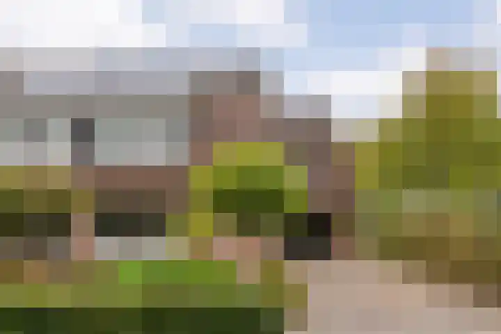 Hoonhorst 29 Lattrop-Breklenkamp thumbnail 4