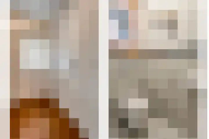 Hoonhorst 29 Lattrop-Breklenkamp thumbnail 5