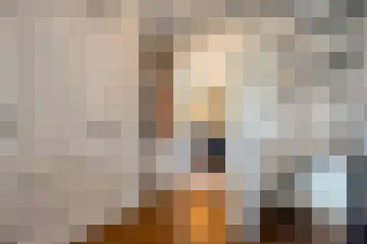 Hoonhorst 29 Lattrop-Breklenkamp thumbnail 6