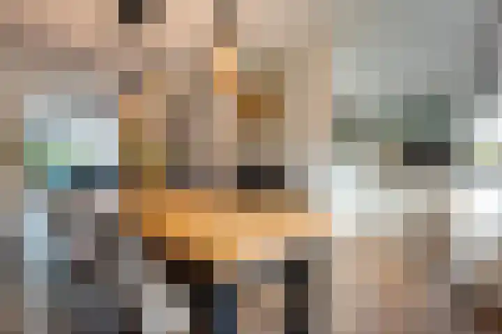 Hoonhorst 29 Lattrop-Breklenkamp thumbnail 7