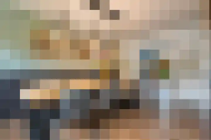 Hoonhorst 29 Lattrop-Breklenkamp thumbnail 9