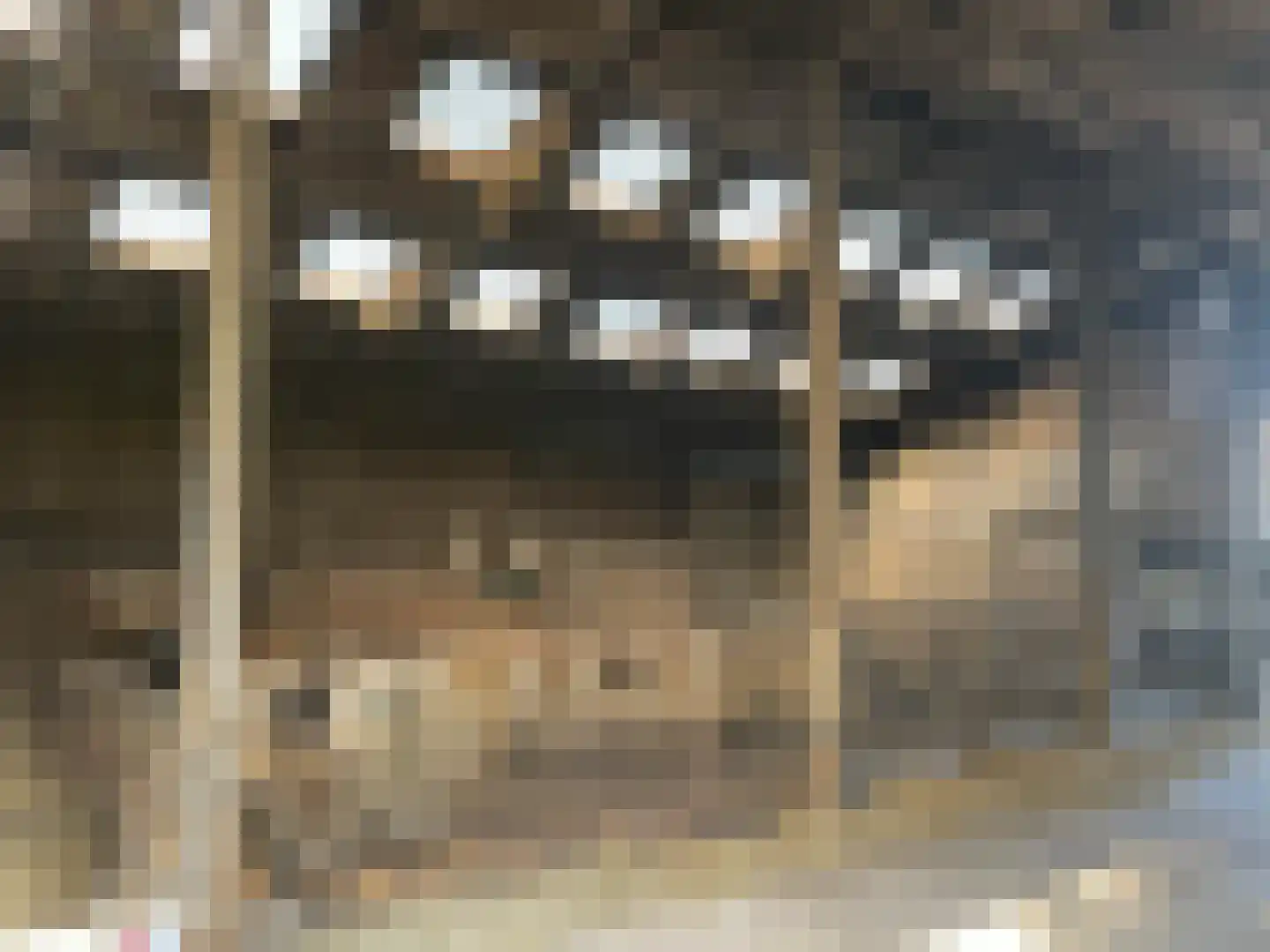 Hoonhorstweg 2 Breedenbroek thumbnail 15